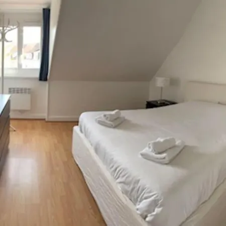 Camelia; Beau Lumineux, Avec Vue Sur Wimereux