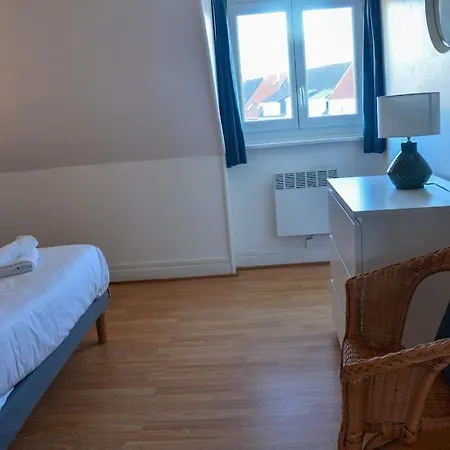 Camelia; Beau Lumineux, Avec Vue Sur