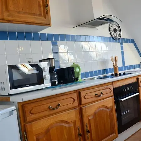 Camelia; Beau Lumineux, Avec Vue Sur Wimereux